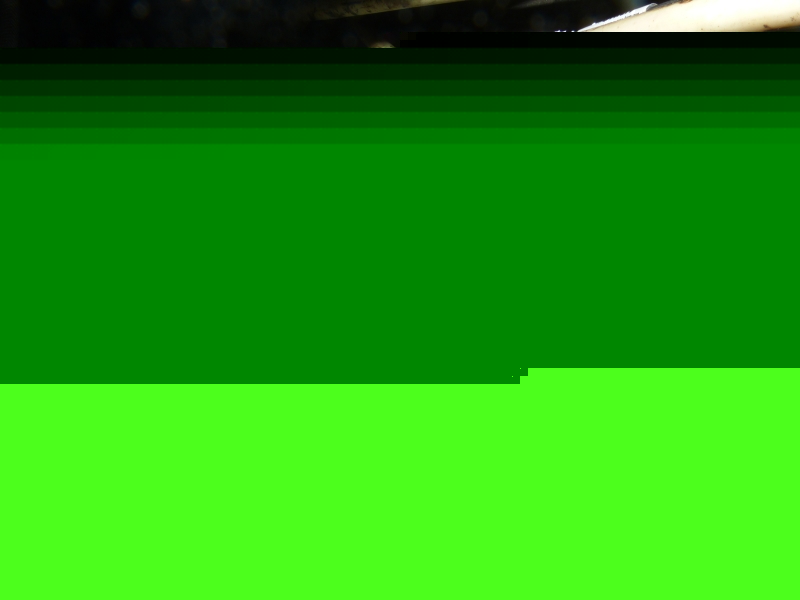 Image Loading ...